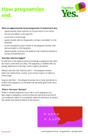 Object Together for Yes Factsheet: How pregnancies endcover