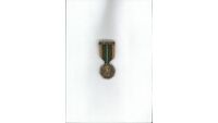 Object 1916 Survivors' Medalcover picture