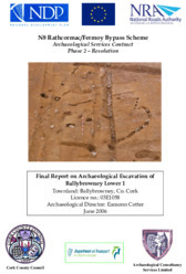 Object Archaeological excavation report,  03E1058 Ballybrowney Lower 1,  County Cork.cover picture