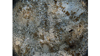 Object ISAP 08239, photograph of polarised thin section of stone axecover picture