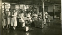 Object Female workers labelling boxes in Bishop Streethas no cover picture
