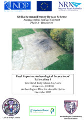 Object Archaeological excavation report,  03E1186 Ballynahina 1,  County Cork.cover picture