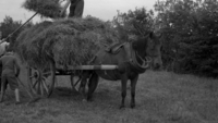 Object Haymaking scene, County Roscommon.has no cover
