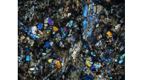 Object ISAP 06196, photograph of polarised thin section of stone axecover
