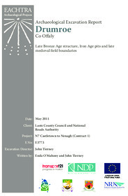 Object Archaeological excavation report,  E3773 Drumroe,  County Offaly.cover picture