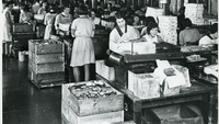 Object Women packing boxes of Jacob's goodscover picture