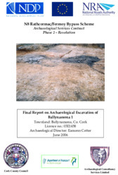 Object Archaeological excavation report,  03E1458 Ballynamona 1,  County Cork.cover picture