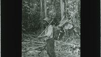 Object A native man with an axe and basket in a forest (British Guiana)has no cover